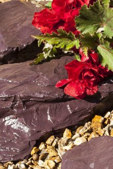 Многогодишна скала