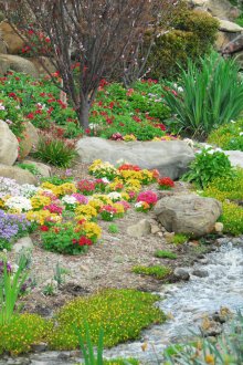 Градинска скала