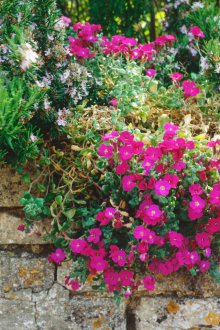 Катереща скала