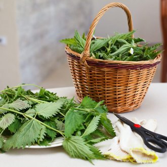 Penyapu mandi nettle