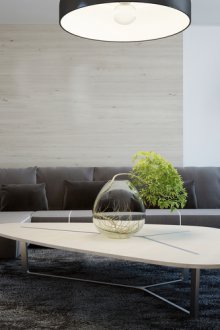 Сива всекидневна в еко стил