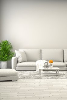 Светло сив интериор