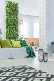 Сиво-зелена всекидневна