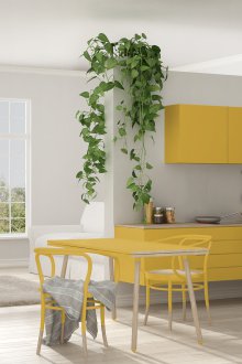 Сиво жълта кухня