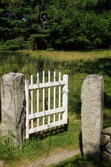 Порта за даване