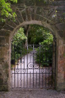 Шейна порта за даване