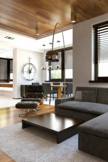 Плътен таван на тавана