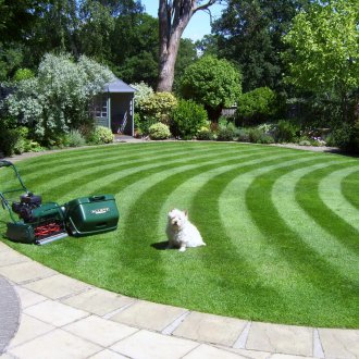 Verticutter untuk taman