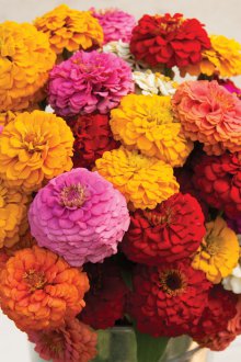 Килийски персийски килим