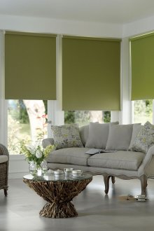 Зелени щори в хола