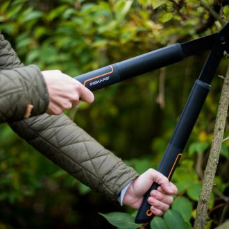 Hiasan taman untuk pokok-pokok