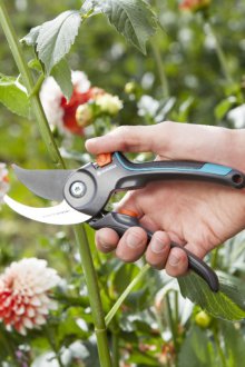 Secateurs dengan kunci