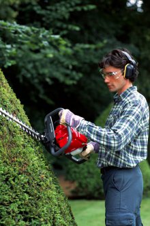 Gunting rambut untuk semak