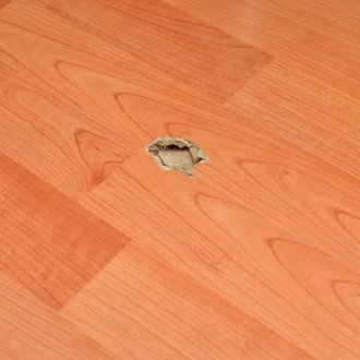 Laminate Repair