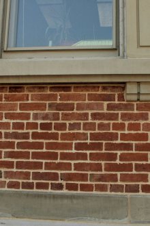 Тухлен метален сайдинг