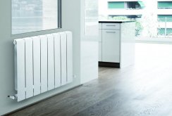 White bimetal radiator