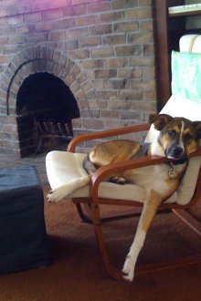 Стол Poeng с възглавница