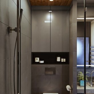 Pengawal menetas kelabu