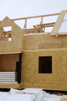 독수리 패널의 집