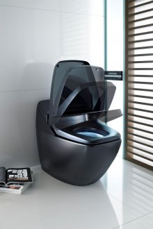 Черна метална тоалетна