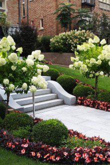 Озеленяване с цветя