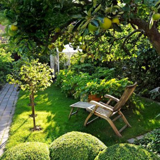 Озеленяване в страната