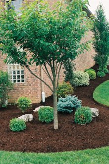 Озеленителен парцел с хълмове