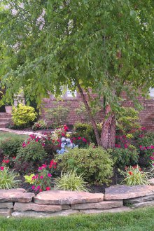 Озеленяване на цветни лехи