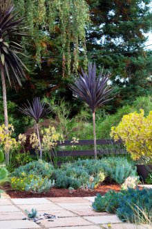 Минимализъм ландшафтен дизайн