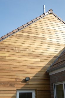 Лицева плочка с имитация на дърво