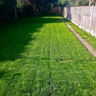 Навита морава в двора