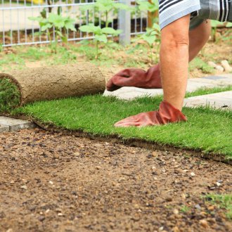 Канадска навита морава