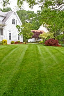 Косене на тревата