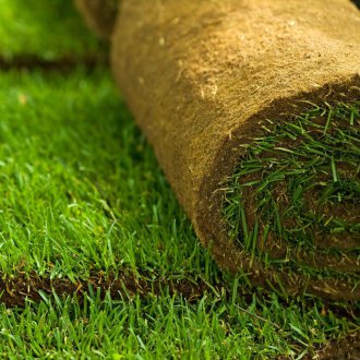 Полагане на ролева морава