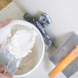 Pembiakan dempul siling