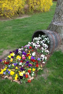 Цветно легло от бъчва в страната
