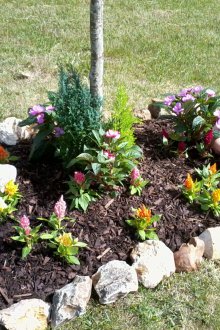 Цветно легло под дървото