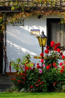 Цветно легло пред къщата