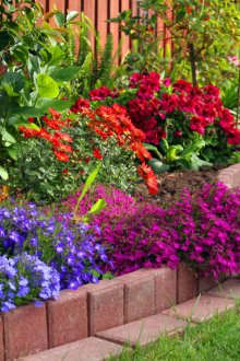 Къдрава цветна леха в страната