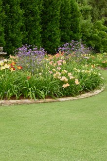 Цветно легло в страната