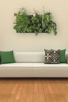 Подови вази с дървета