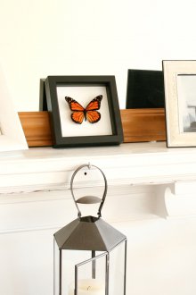 Декоративна пеперуда на камината