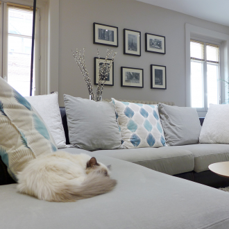 Черно-бели снимки в интериора