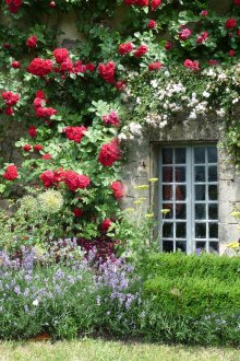 꽃으로 외관 장식