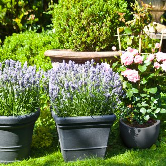 정원에서 화분에 꽃