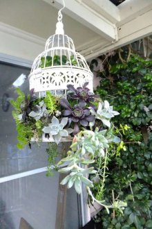 정원에 매달린 화분