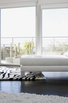 Зебра отпечатан килим за зона за почивка