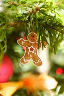 Коледен натруфен човек