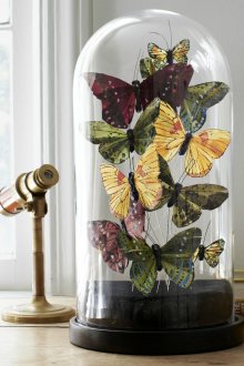 Изработка на пеперуди в интериора