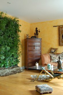 Декорация за стена в индийски стил